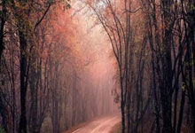 BG电子:40天、90亿人次……今年春运“预”热工作进展如何?.