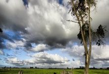 AC米蘭多納魯馬的技術特點.