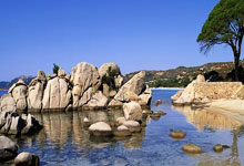 新春走基层|走近孟良崮“山林卫士”的一天.